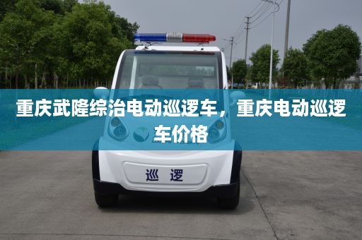 重庆武隆综治电动巡逻车，重庆电动巡逻车价格